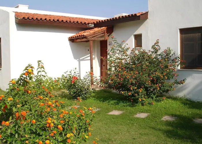 Club Petya Apart 达特恰