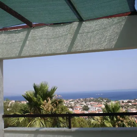 Club Petya Apart * דטקה